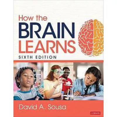 How the Brain Learns