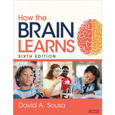 How the Brain Learns