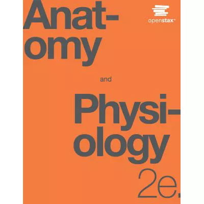 Anatomy &amp; Physiology 2e